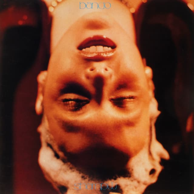 Album cover art for Shampw