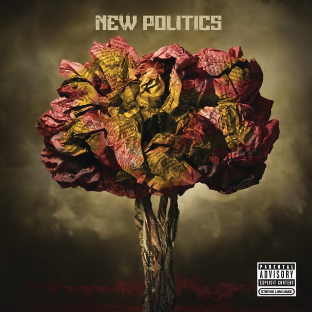 Album cover art for New Politics