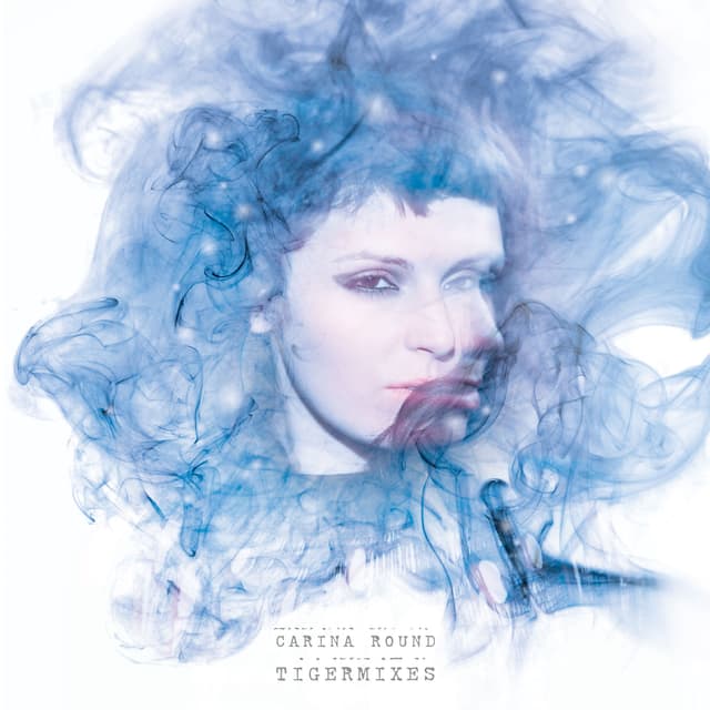 Album cover art for Tigermixes