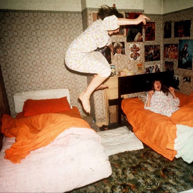 Album cover art for I Became Birds