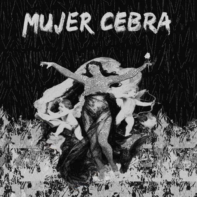 Album cover art for Mujer Cebra