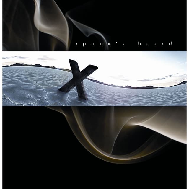 Album cover art for X