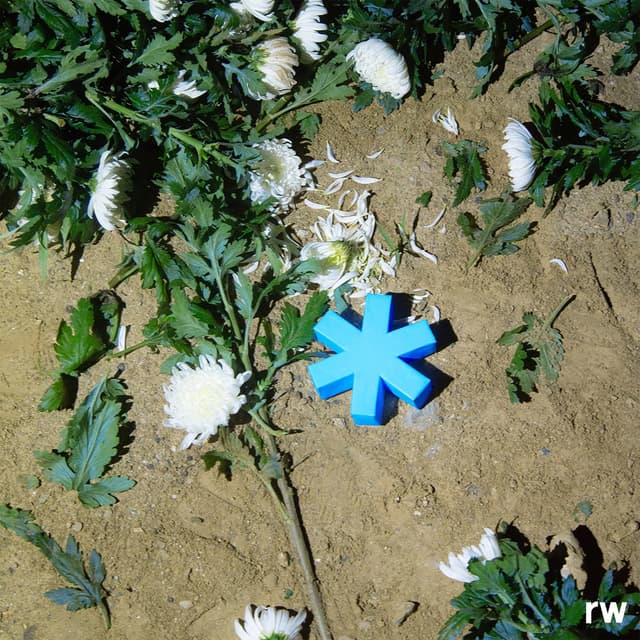 Album cover art for Sarah