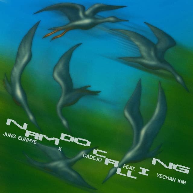 Album cover art for NAMDO CALLING
