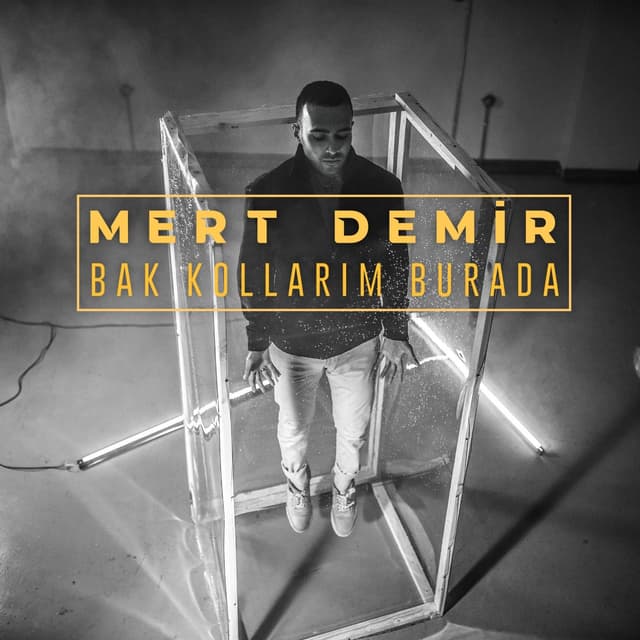 Album cover art for Bak Kollarım Burada