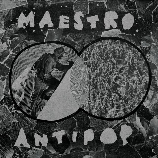 Album cover art for Maestro Antipop
