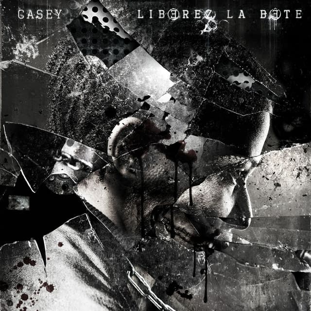 Album cover art for Libérez La Bête