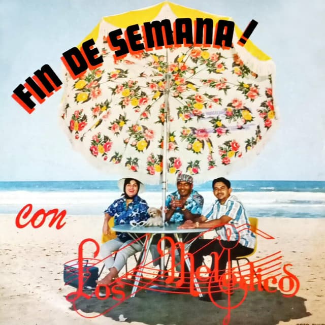 Album cover art for Fin de Semana Con los Melódicos