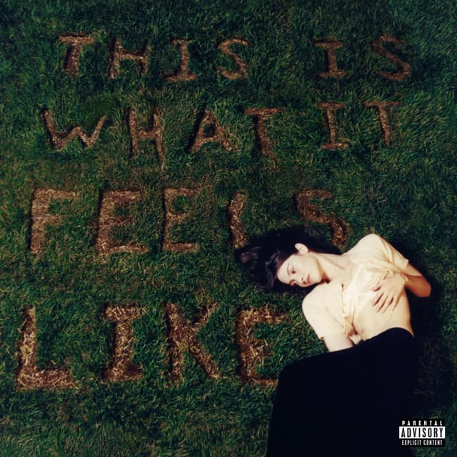 Album cover art for This Is What It Feels Like