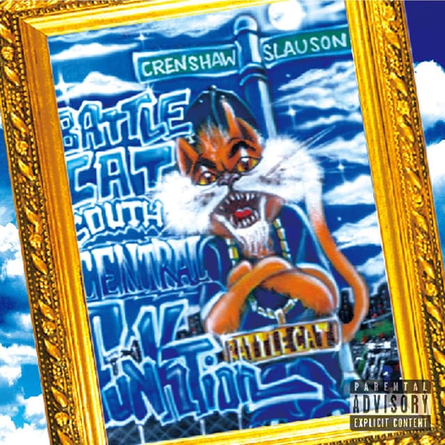 Album cover art for South Central Funktion