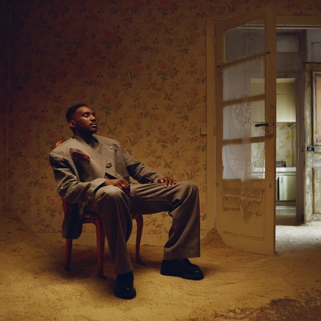 Album cover art for MONSIEUR SAUDADE II