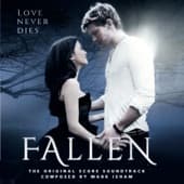 Album cover art for Fallen