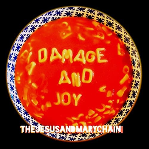 Album cover art for Damage and Joy