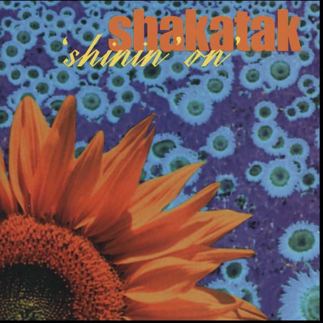 Album cover art for Shinin' On