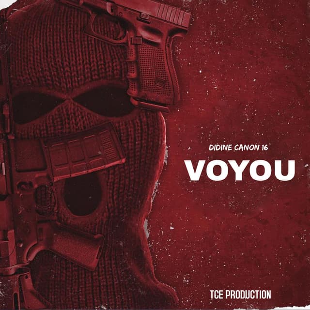 Album cover art for Voyou