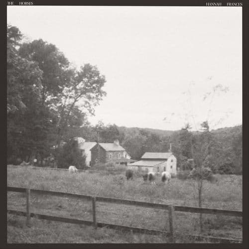 Album cover art for The Horses