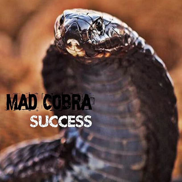 Album cover art for Success