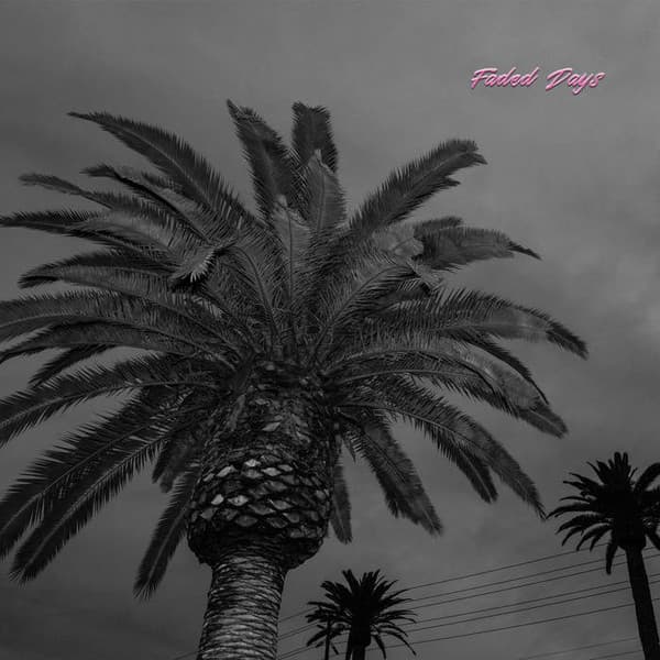 Album cover art for Faded Days