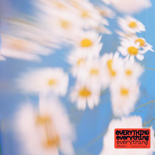 Album cover art for Everything