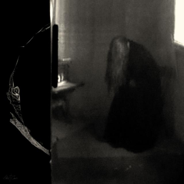 Album cover art for Perverts