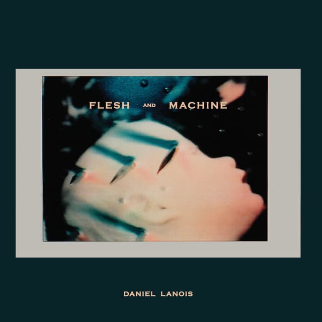 Album cover art for Flesh and Machine