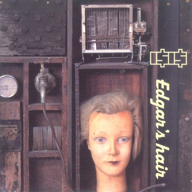 Album cover art for Edgar's Hair