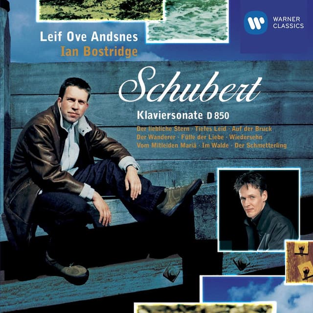 Album cover art for Schubert: Piano Sonata D850 - Lieder