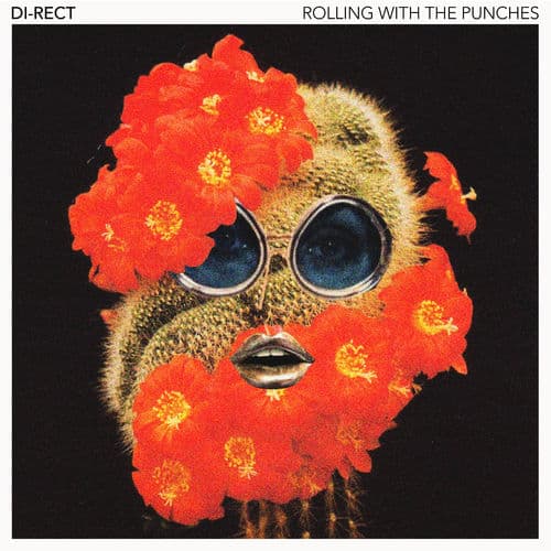 Album cover art for Rolling with the Punches
