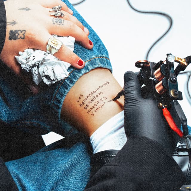 Album cover art for Les Histoires d'Amour de St Graal