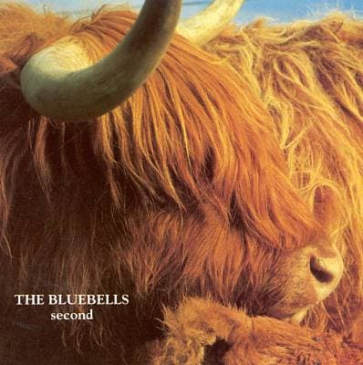 Album cover art for Second