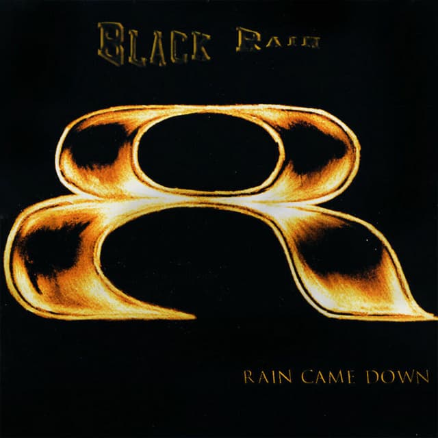 Album cover art for Rain Came Down