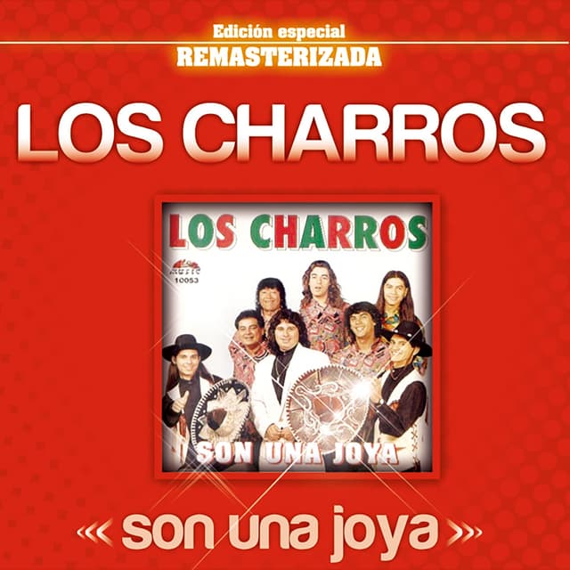 Album cover art for Son Una Joya