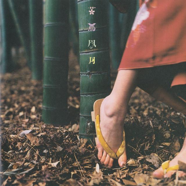 Album cover art for 花鳥風月