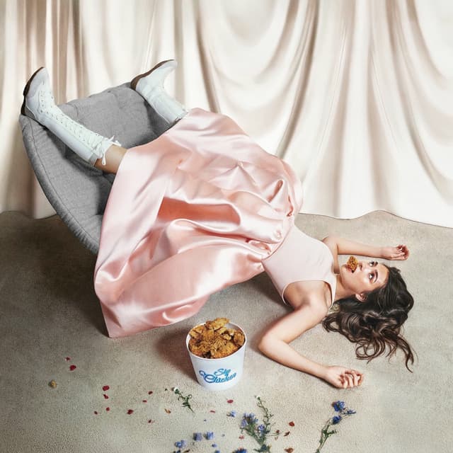 Album cover art for Shy