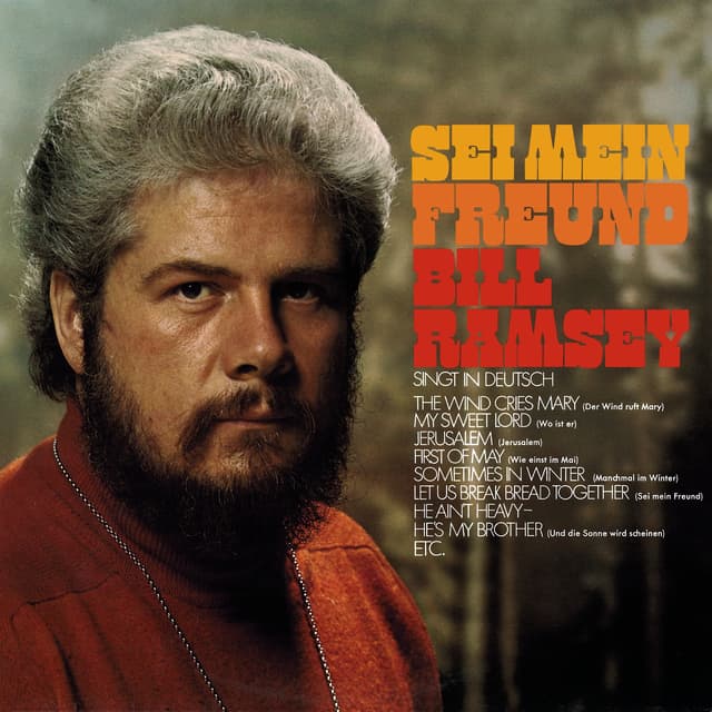 Album cover art for Sei mein Freund
