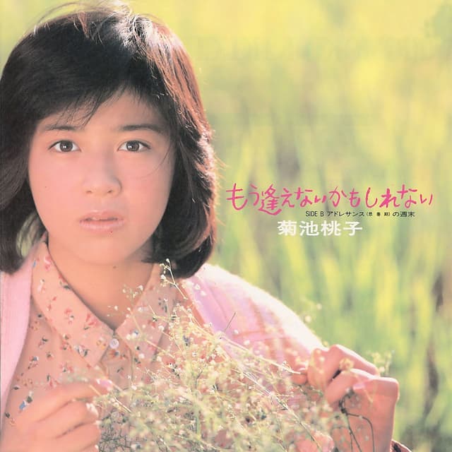 Album cover art for もう逢えないかもしれない