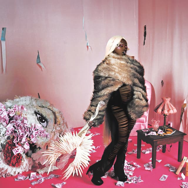 Album cover art for MEGA BBL