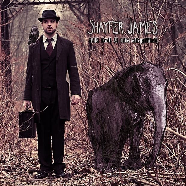 Album cover art for The Owl & The Elephant