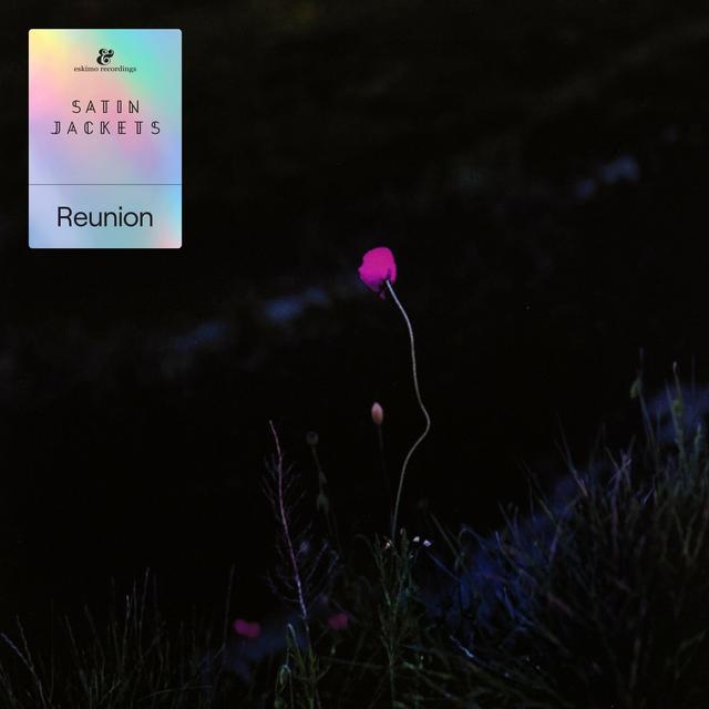 Album cover art for Reunion