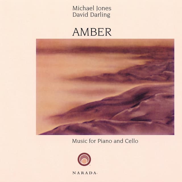 Album cover art for Amber