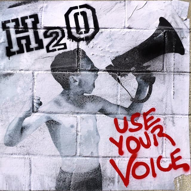Album cover art for Use Your Voice