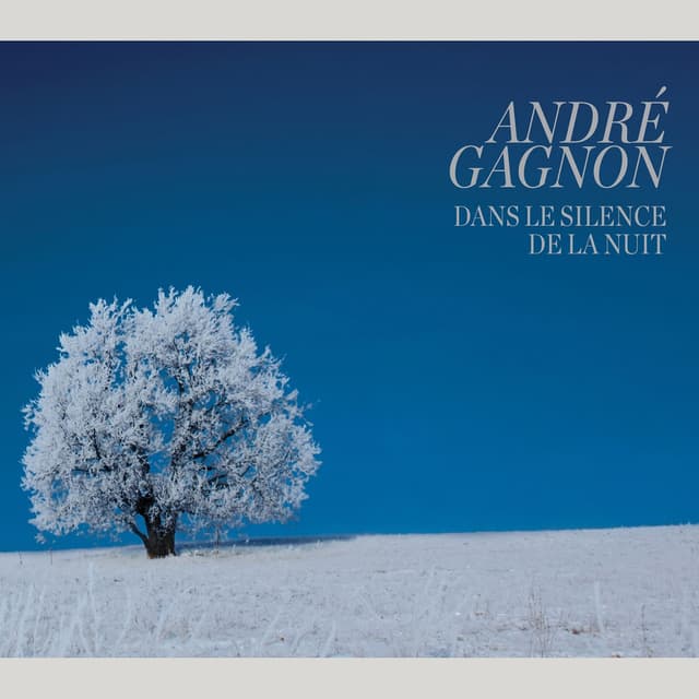Album cover art for Dans le Silence de la Nuit