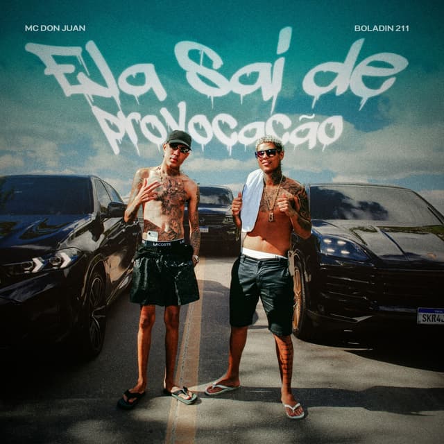 Album cover art for Ela Sai de Provocação