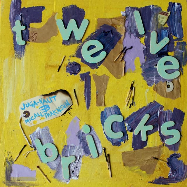 Album cover art for Twelve Bricks