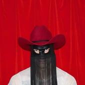 Album cover art for Pony