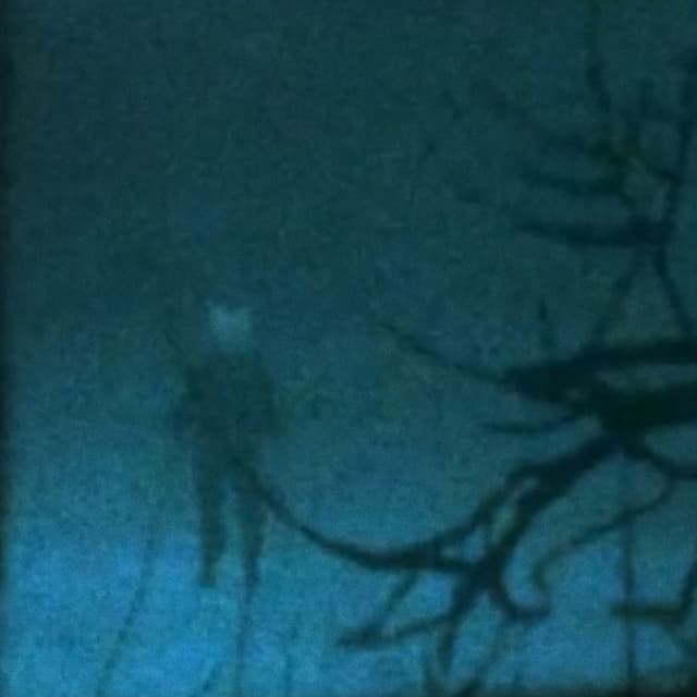 Album cover art for I Was Only Temporary - Single