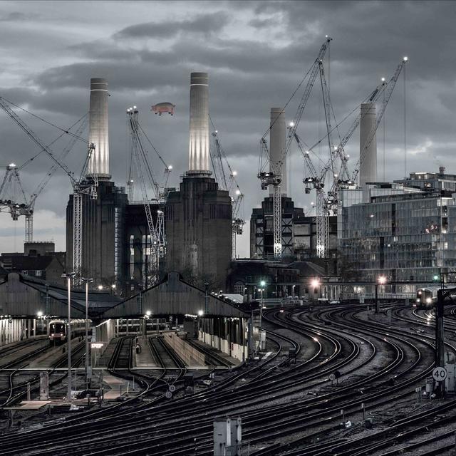 Album cover art for Animals