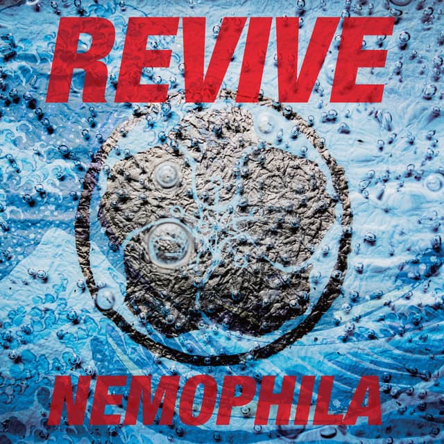 Album cover art for REVIVE (U.S. Version)