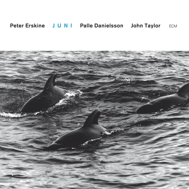 Album cover art for Juni