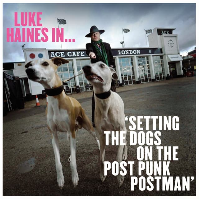 Album cover art for Setting The Dogs On The Post Punk Postman